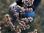 Fotoblog try3again