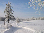 Fotoblog octan