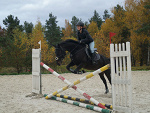 Fotoblog dariszon18