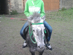 Fotoblog zizu2010