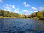 Fotoblog twojkwiatuszek