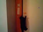 Fotoblog lemonkaa3