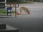 Fotoblog ogarnijto13