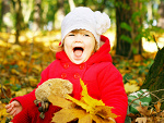 Fotoblog jdsis