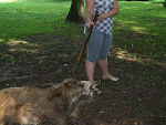 Fotoblog ermanka