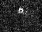 Fotoblog liten12