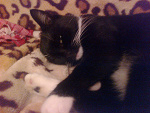 Fotoblog karolaa18
