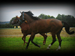 Fotoblog mynewlife