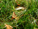 Fotoblog dusiek3c