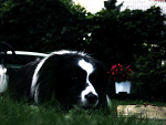 Fotoblog xsylona