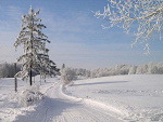 Fotoblog anianataliath