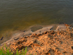 Fotoblog mybrandneweyes