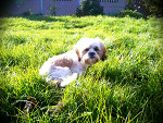 Fotoblog karolka2323