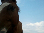 Fotoblog berightback15