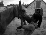 Fotoblog blackdevile16