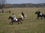 Fotoblog paintranch