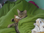 Fotoblog mei92