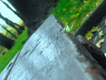 Fotoblog ktoraladniejsza11