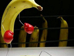 Fotoblog thexsamexevil