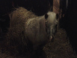 Fotoblog wiktorcia131