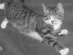 Fotoblog mikamabzika