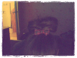 Fotoblog areyou