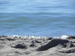 Fotoblog magydzia
