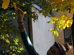 Fotoblog blueberrymamba