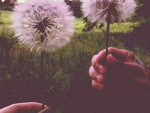 Fotoblog iloveweekend