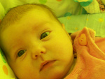 Fotoblog thesweetbutterfly