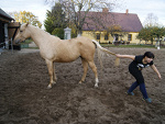 Fotoblog madziaiewelinka