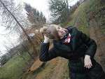 Fotoblog malinka2904