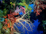 Fotoblog perffecct