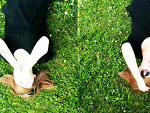 Fotoblog lovemepleasexoxoxo