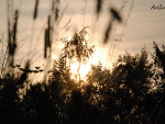 Fotoblog artscreen