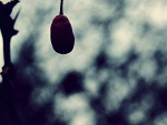 Fotoblog izyde