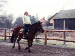Fotoblog stnw