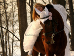 Fotoblog slenderwoman1
