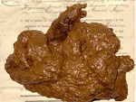 Fotoblog pannajureczku