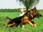 Fotoblog zolzetka