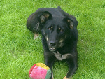 Fotoblog dzikkx33
