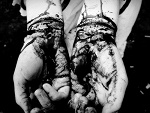 Fotoblog suicide13