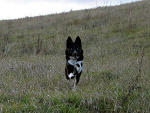 Fotoblog sebiscuit