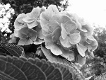 Fotoblog michasiek0620
