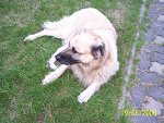 Fotoblog basia87