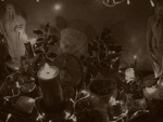 Fotoblog taos