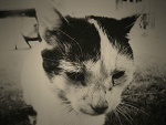 Fotoblog princetongirl919