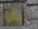 Fotoblog qwertyuiopp