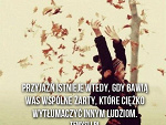Fotoblog sasza0