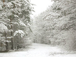 Fotoblog xxboskaboskaxx